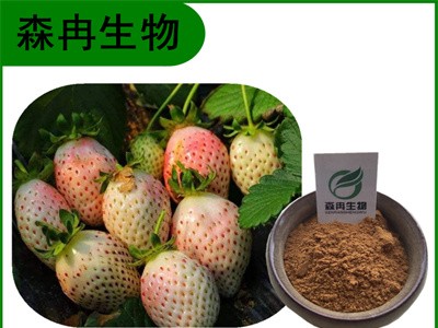 森冉生物 菠萝莓提取物 白草莓提取物 比例提取原料粉