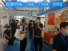 2027具身智能机器人与技术创新展
