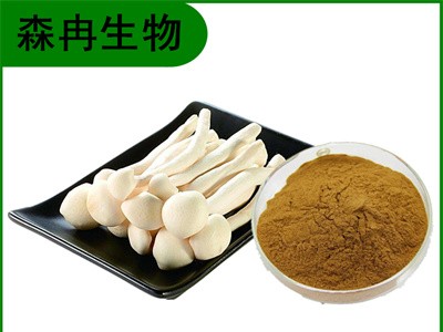 森冉生物 海鲜菇提取物 海鲜菇多糖 玉蕈提取物