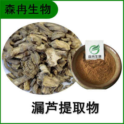 森冉生物 漏芦提取物 野兰提取物 比例提取原料粉